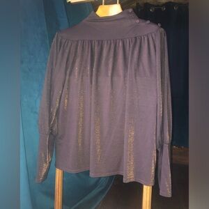 ANN TAYLOR Iridescent Mockneck Blouse